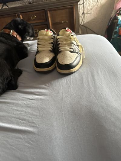 1718137549__image__original