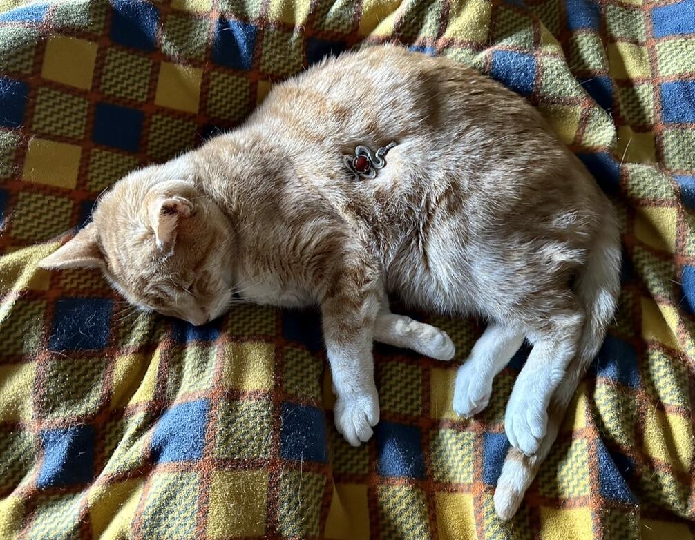 1720649666__e30192b3-aa24-43a2-870a-51cbfb32f5b2_1_1__original