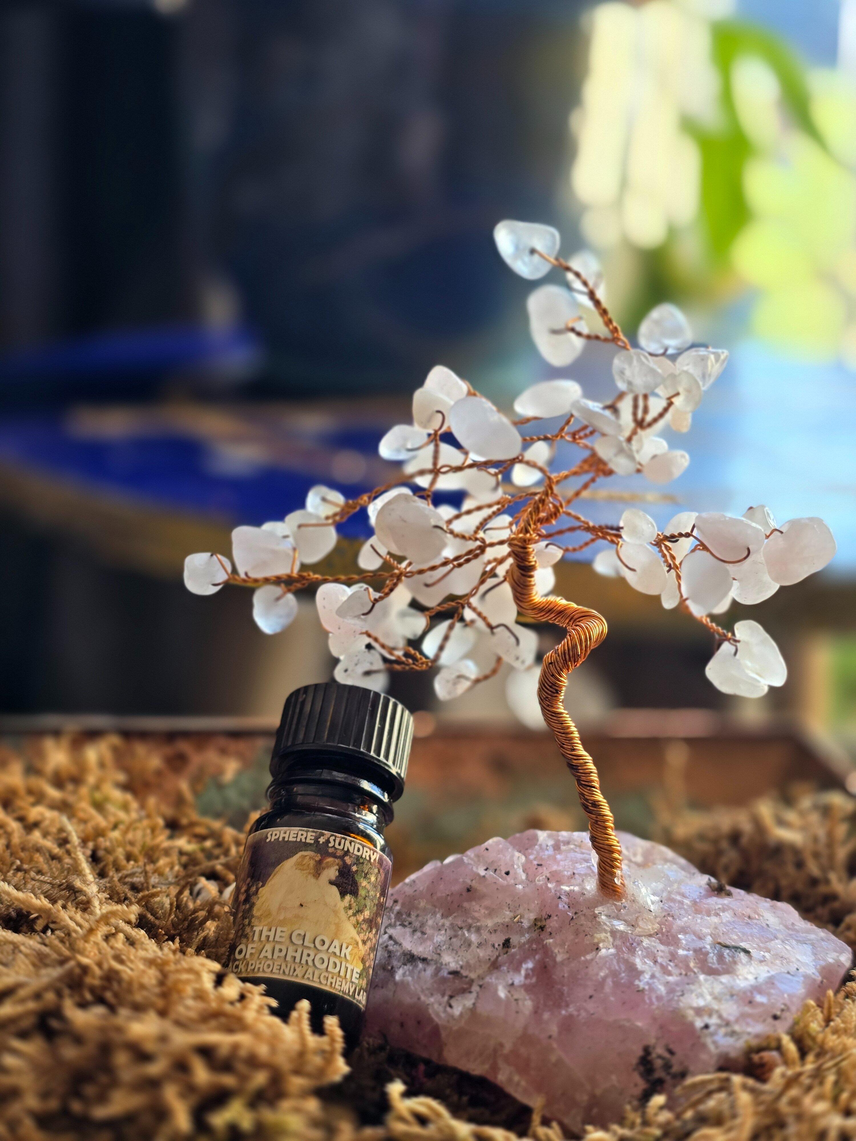 1757621048__thecloakofaphrodietie__original