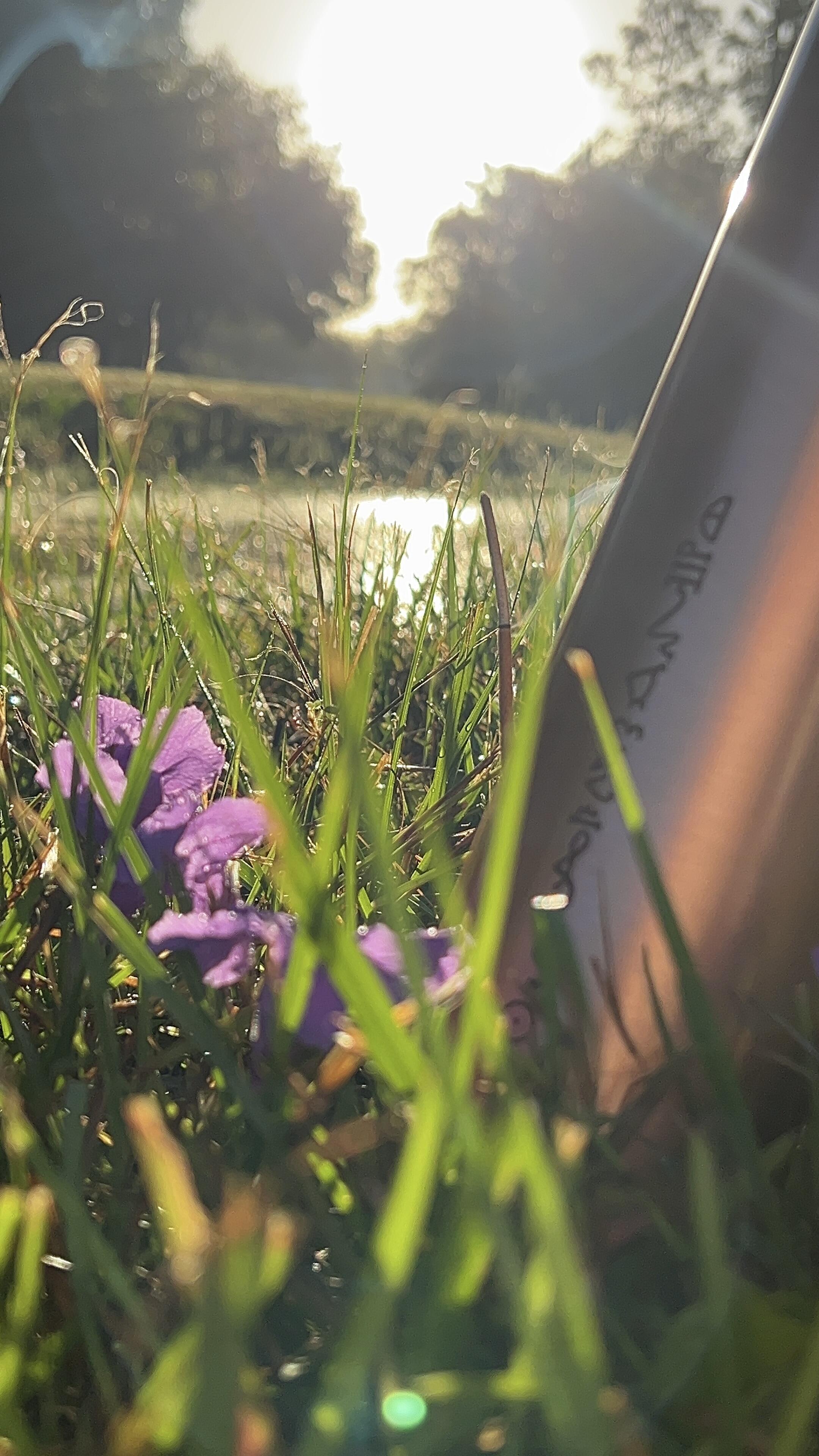 1731977648__img_1965__original