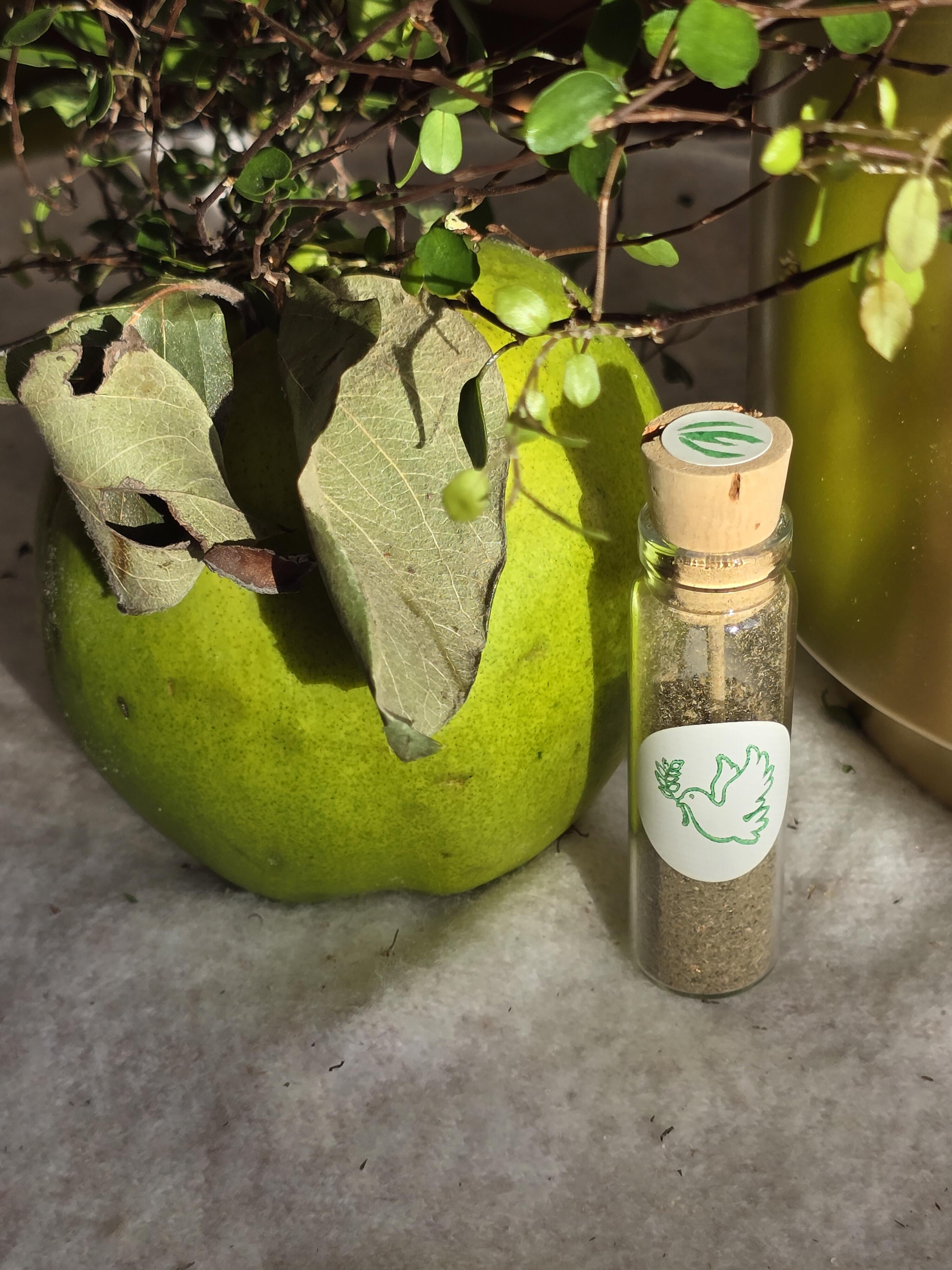 1730582754__erineincense__original