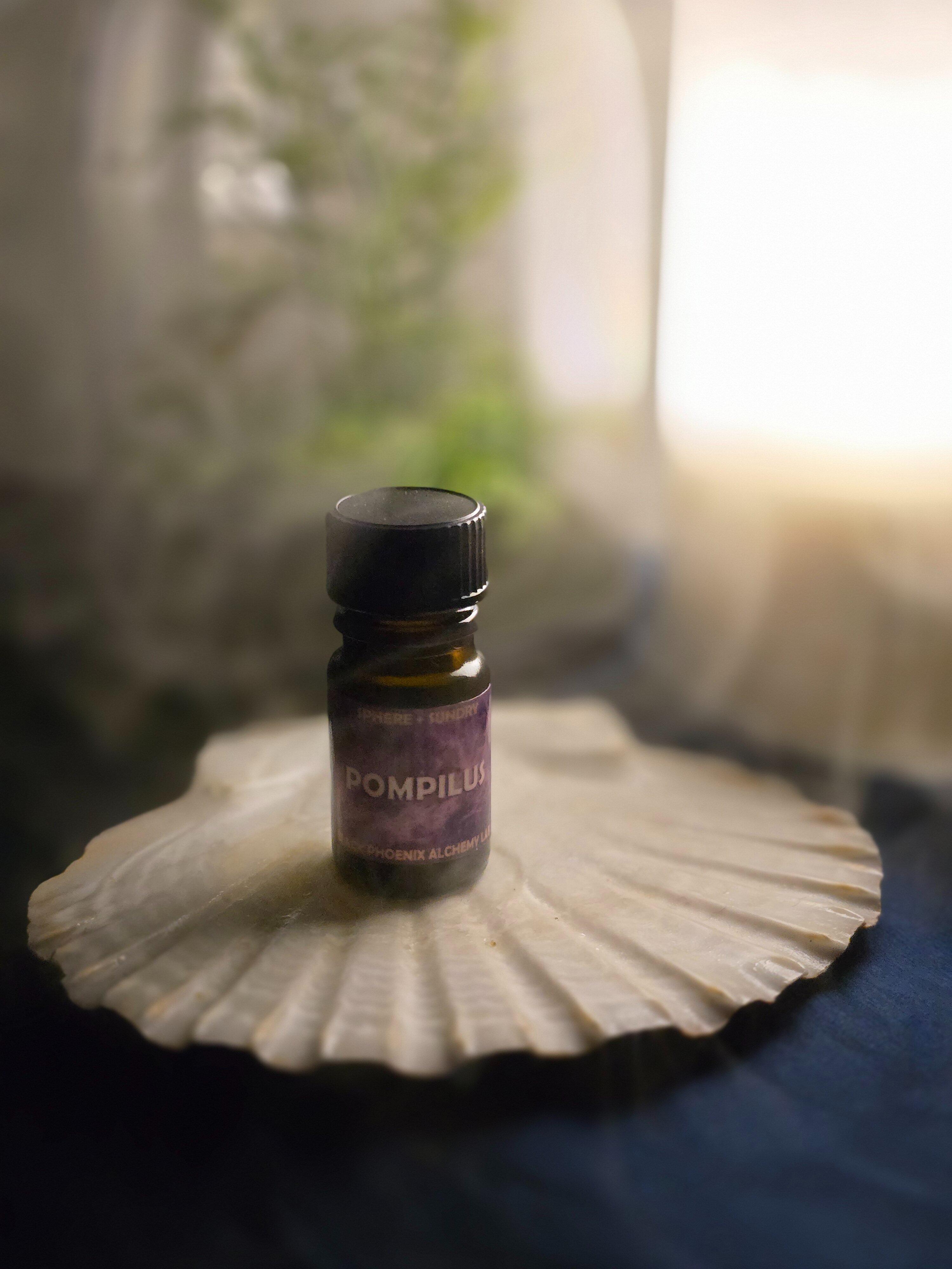 1757620780__pompilus__original