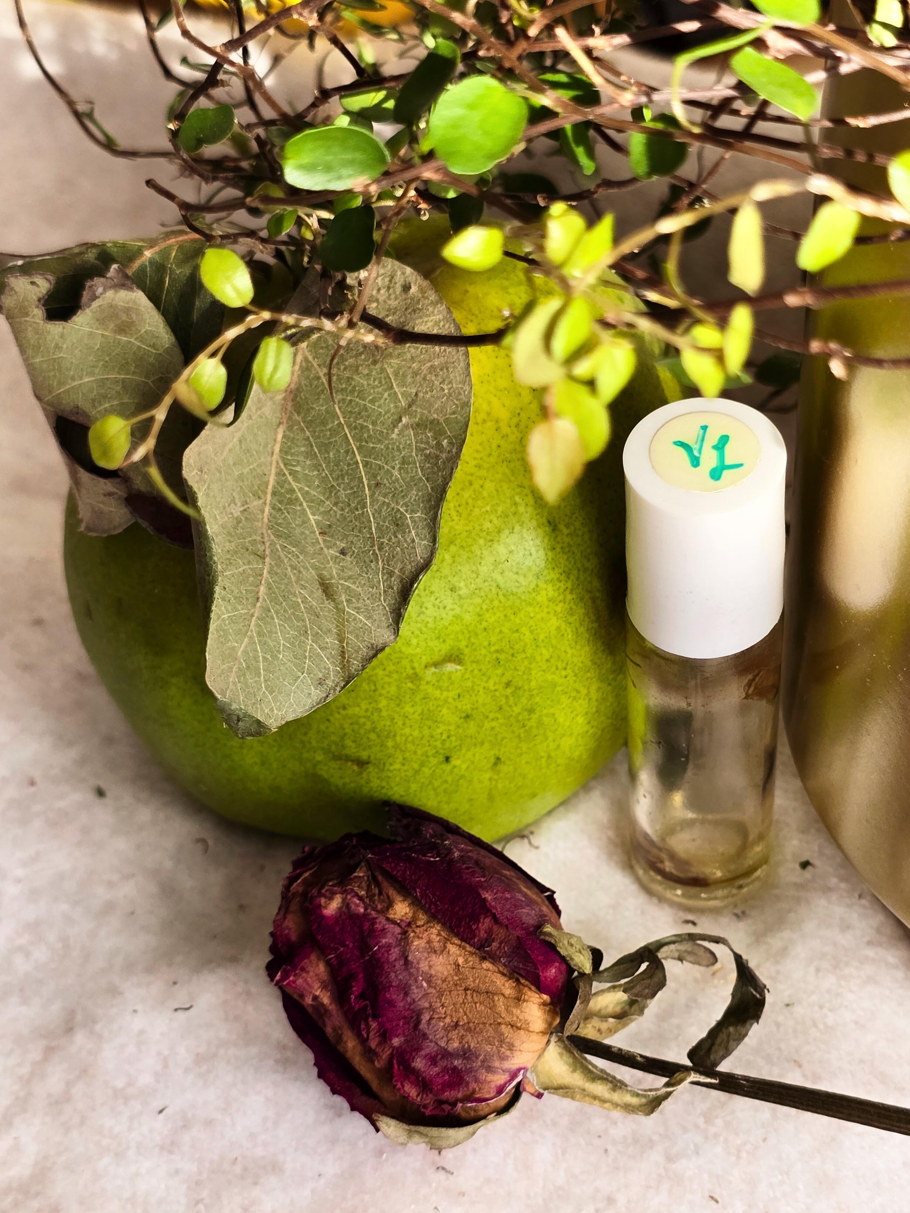 1730580022__venusinlibrarollon__original