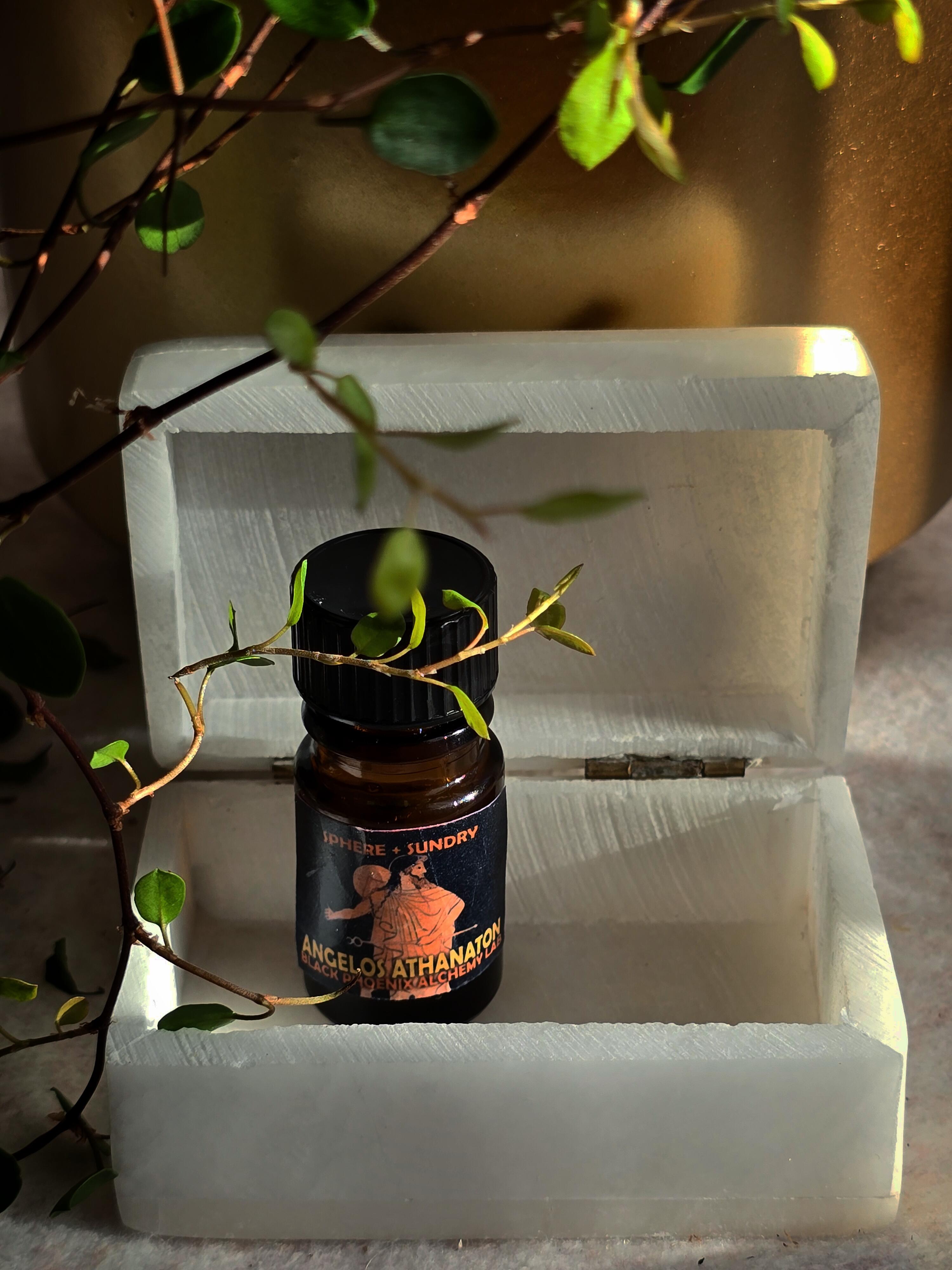 1730574847__mercuryingeminibpals1__original