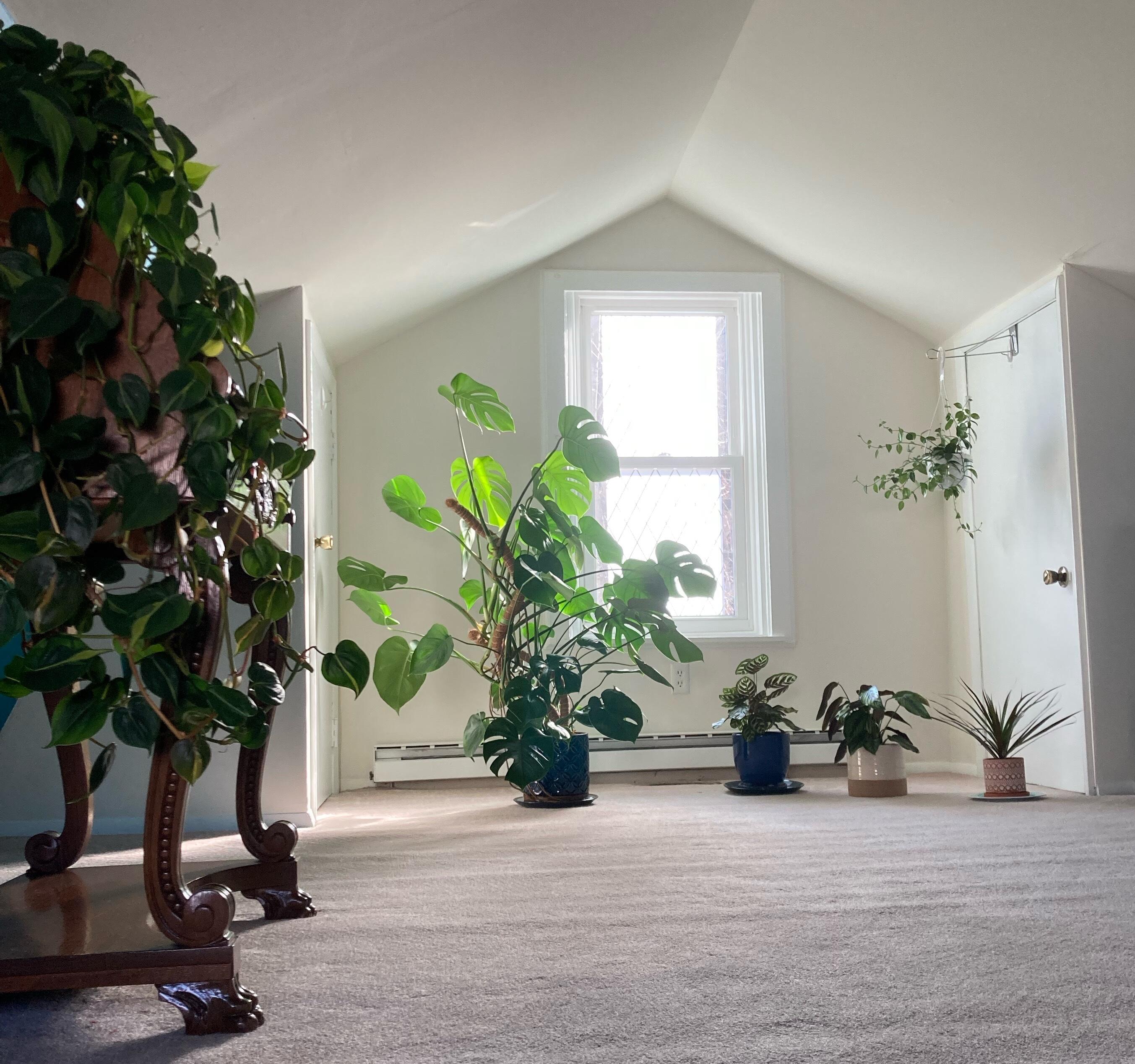 1741053907__img_1572__original