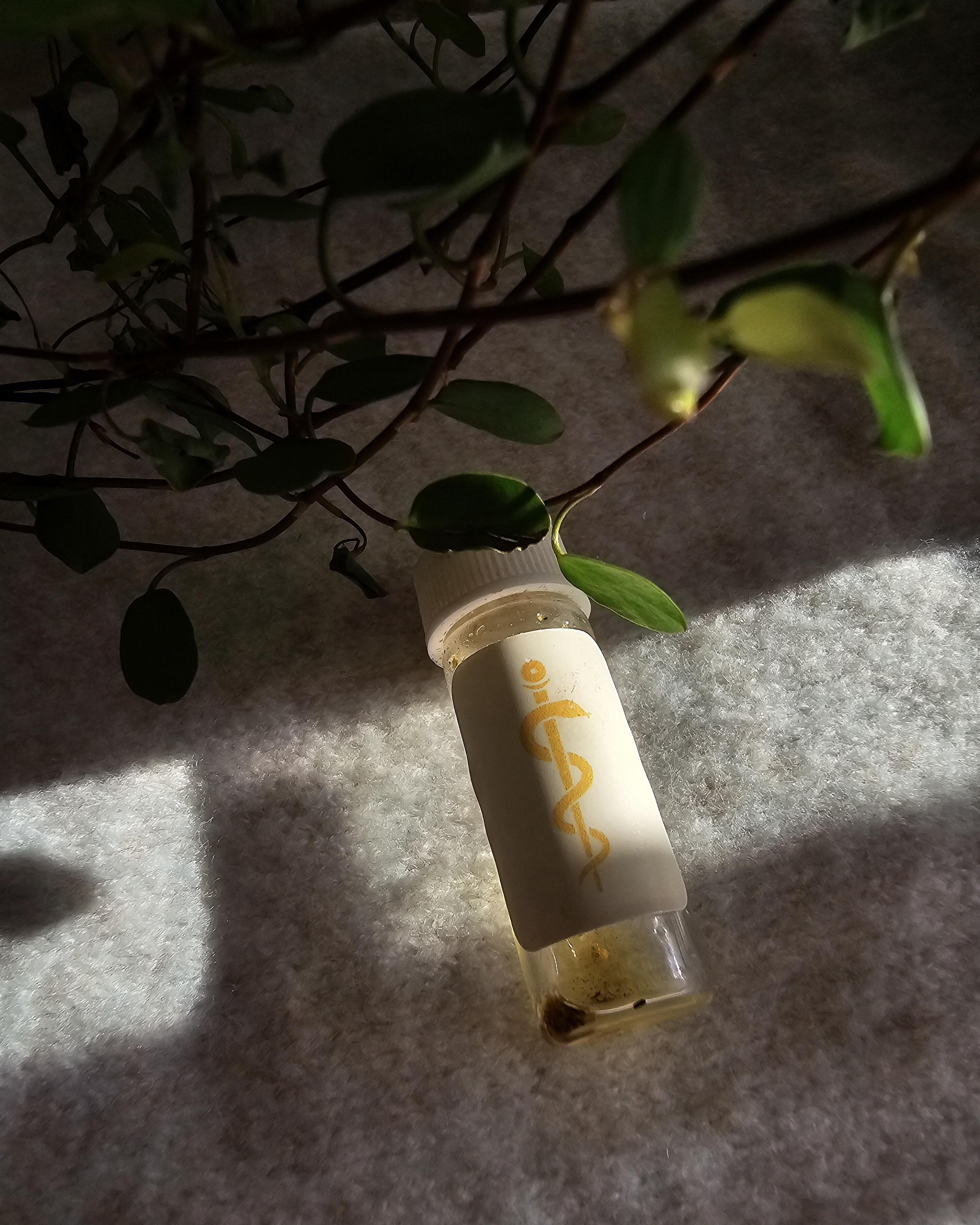 1730546963__apollo1__original