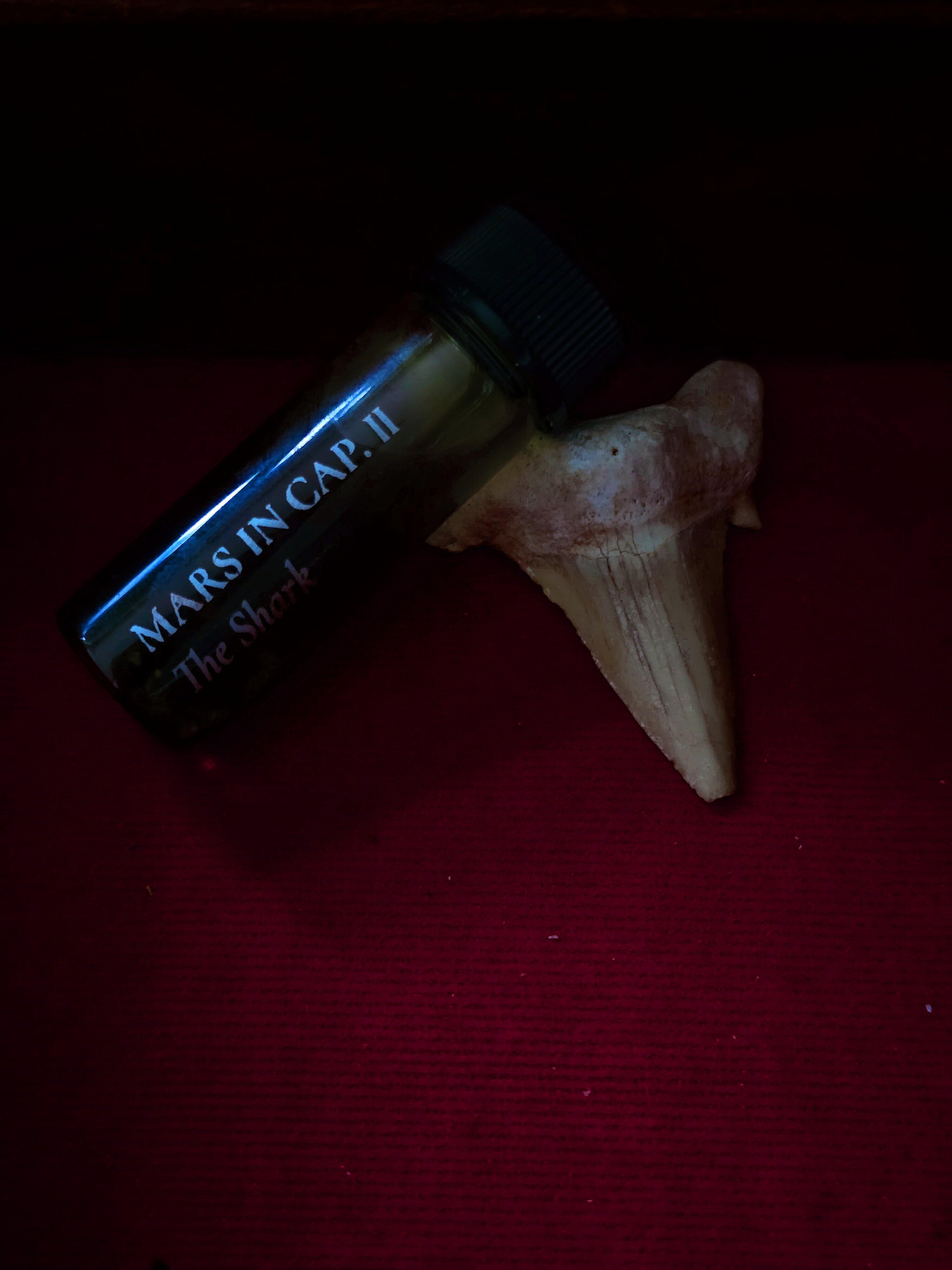 1761055710__thesharksubset__original