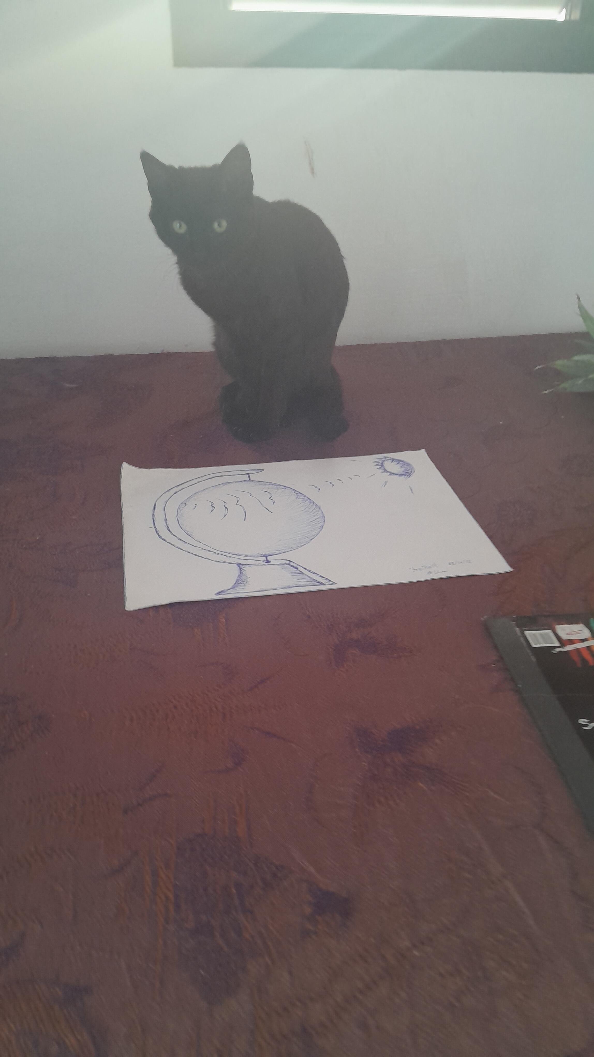 1710606875__20240310_162838__original