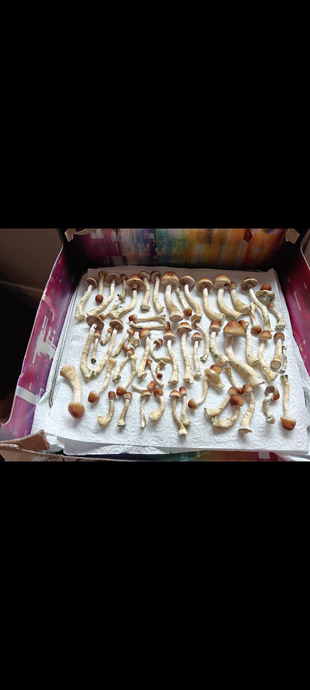 1757700214__1757700210099-screenshot_20250912_190154__original