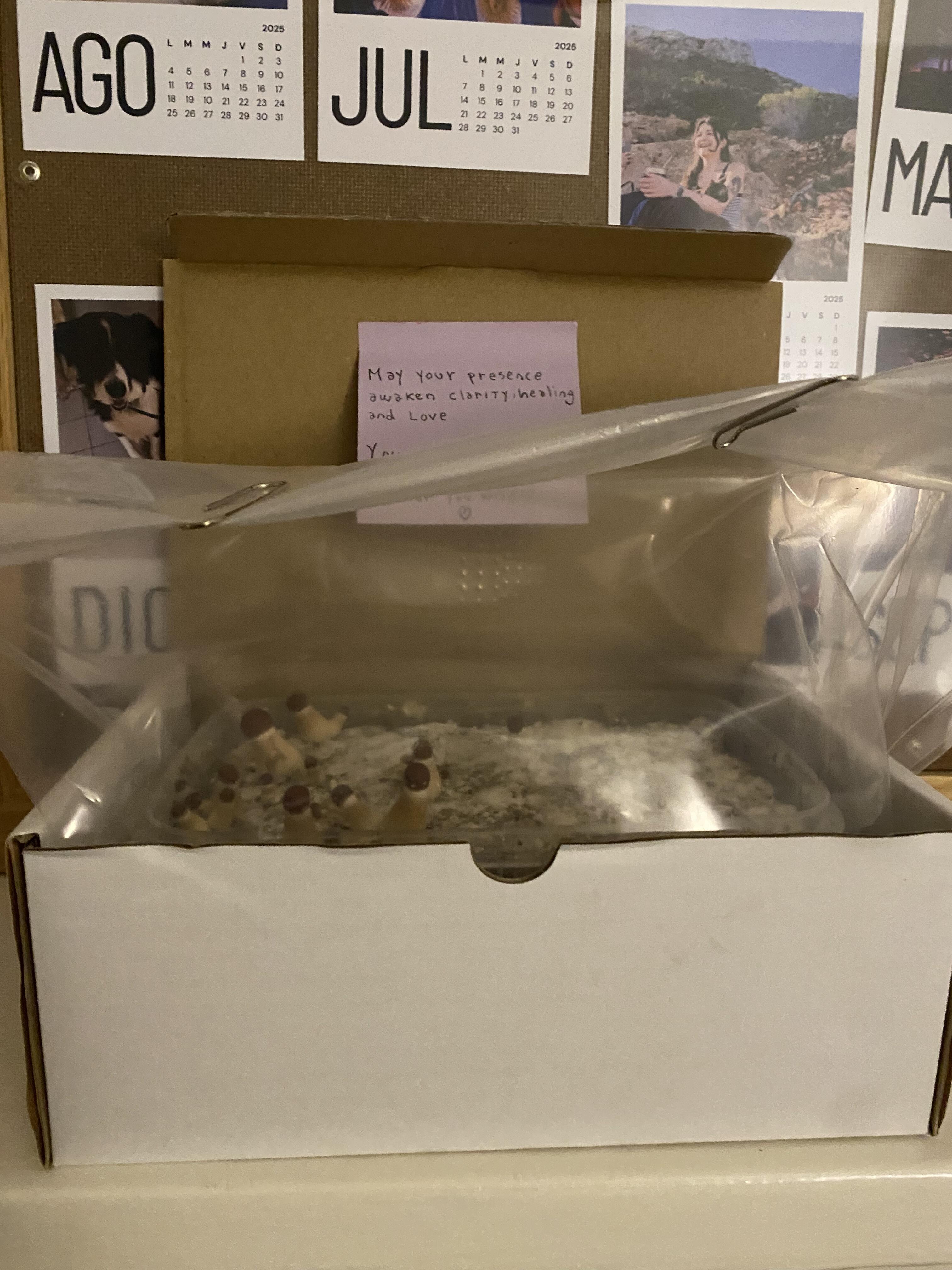 1753891151__1753891102153-img_0873__original