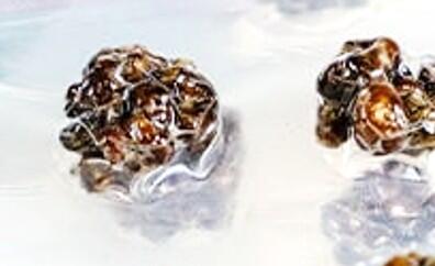 1761832359__1761832358082-immagine1__original