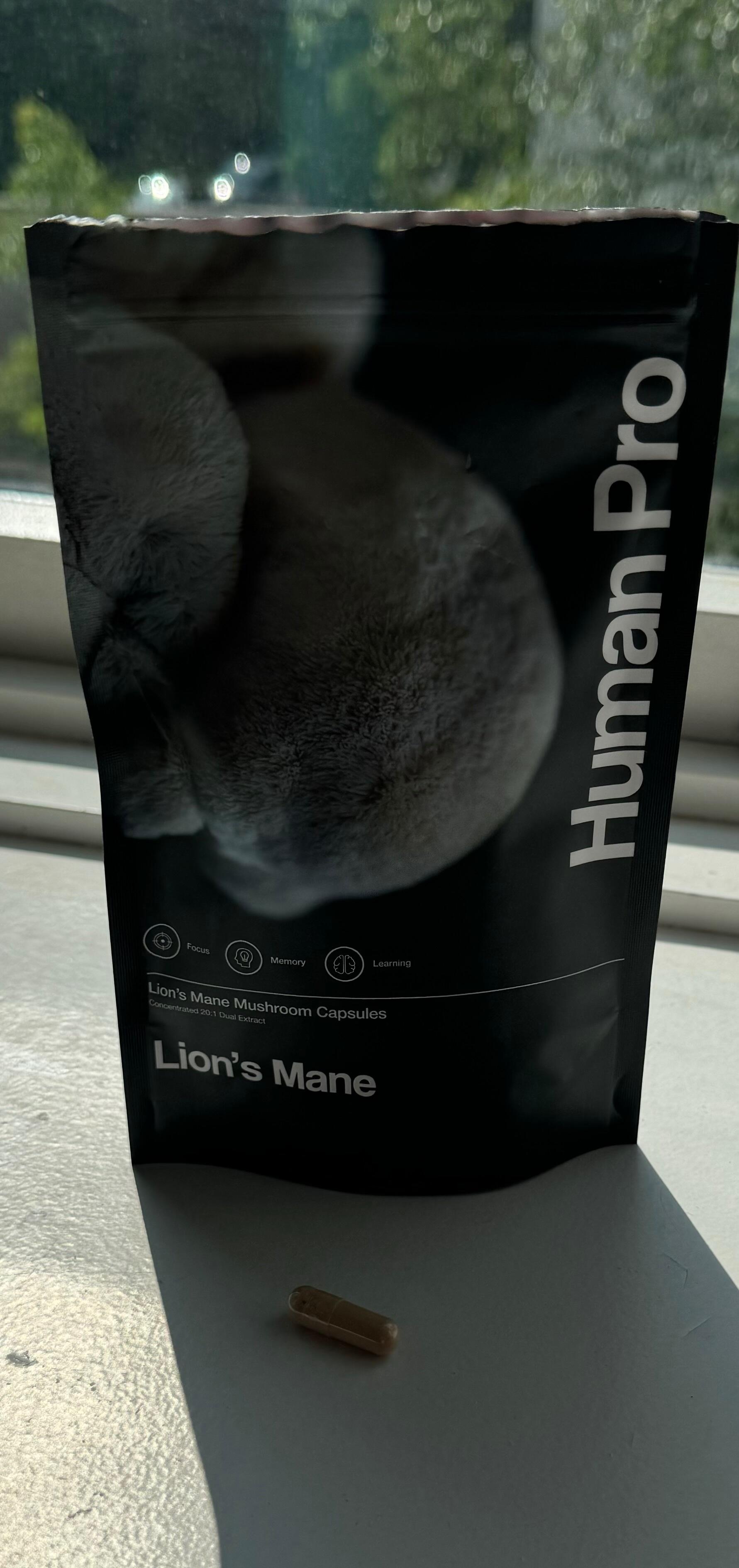 1749113149__img_3843__original