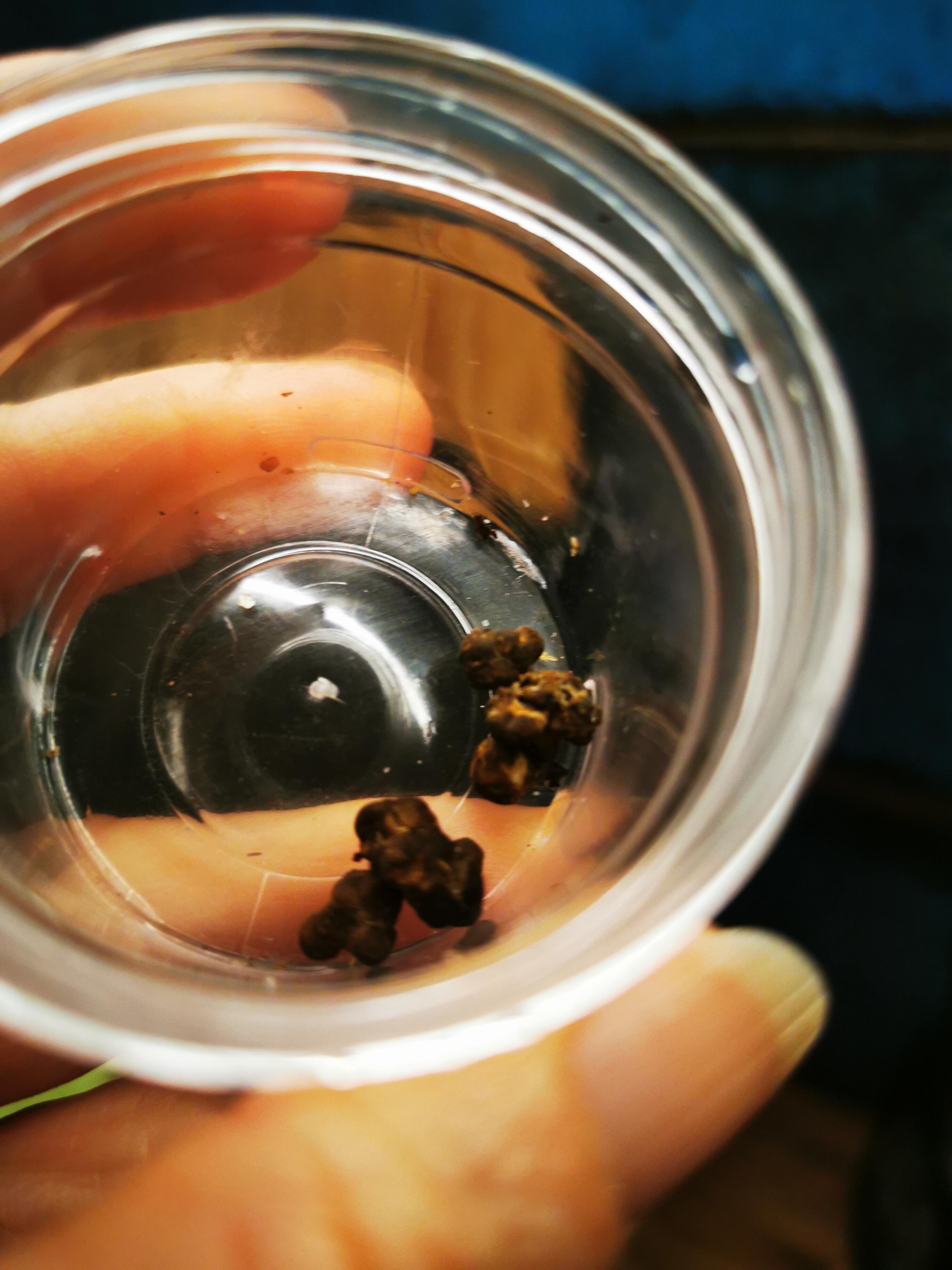 1761598049__1761598039605-img_20251027_214633__original