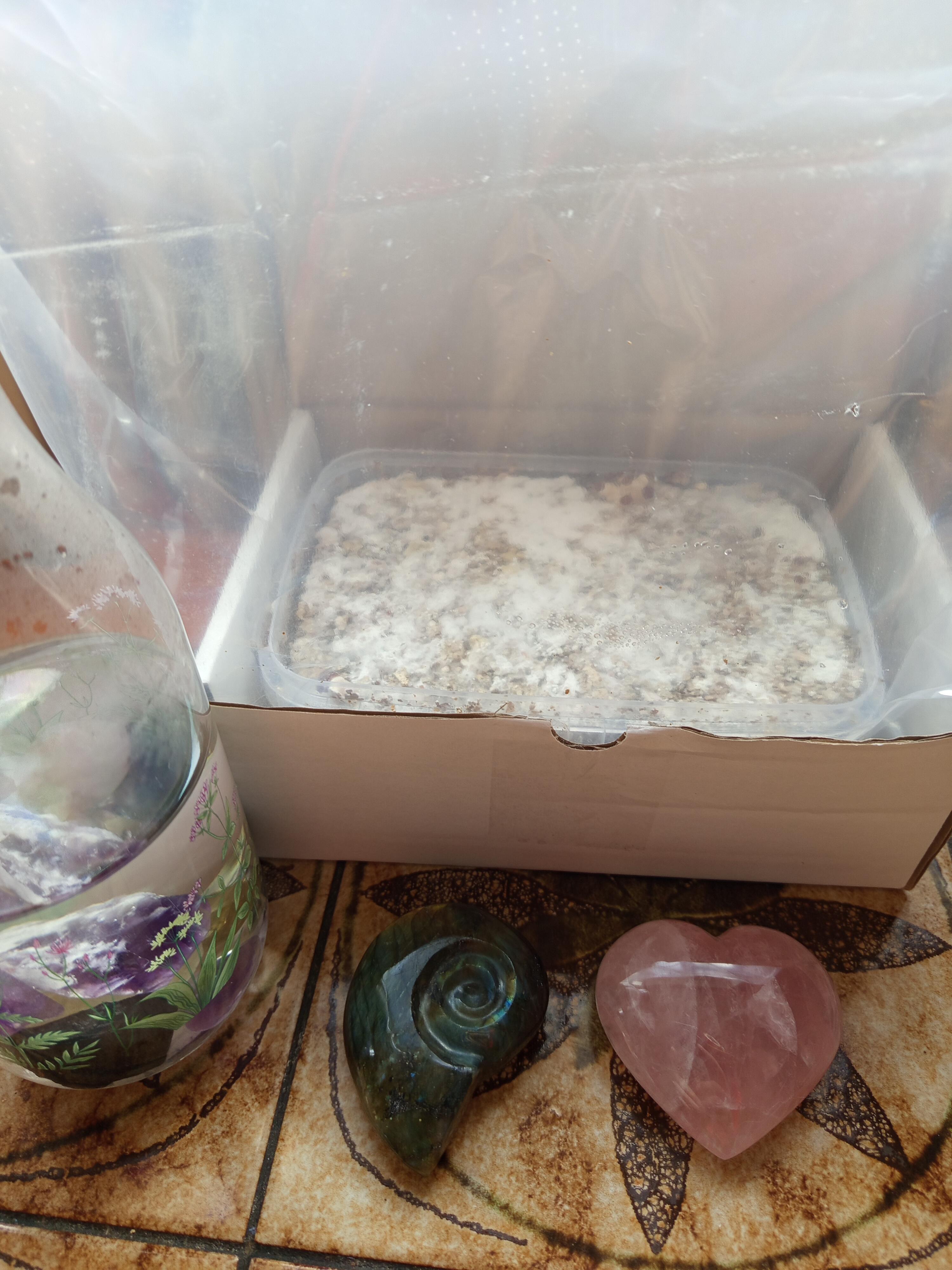 1760520318__1760520307328-1000001039__original