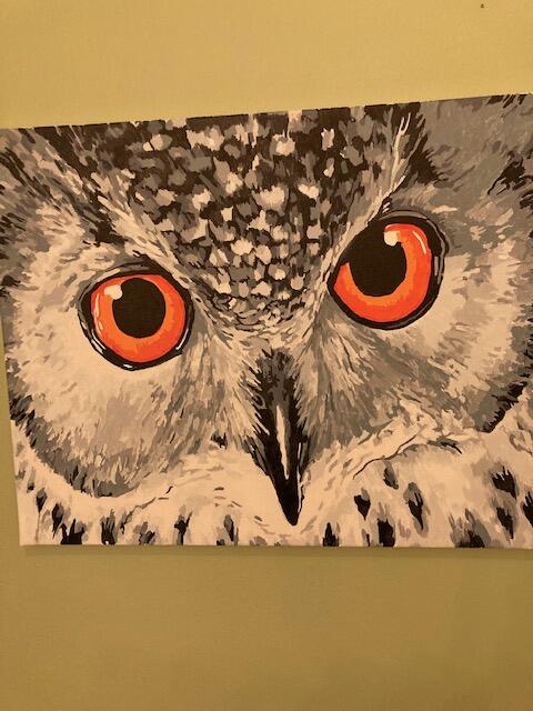 1687357942__0__SSwxKsYw__11644__0__I1LmQTCP__1617549448__Snow-Owl__original__original__original