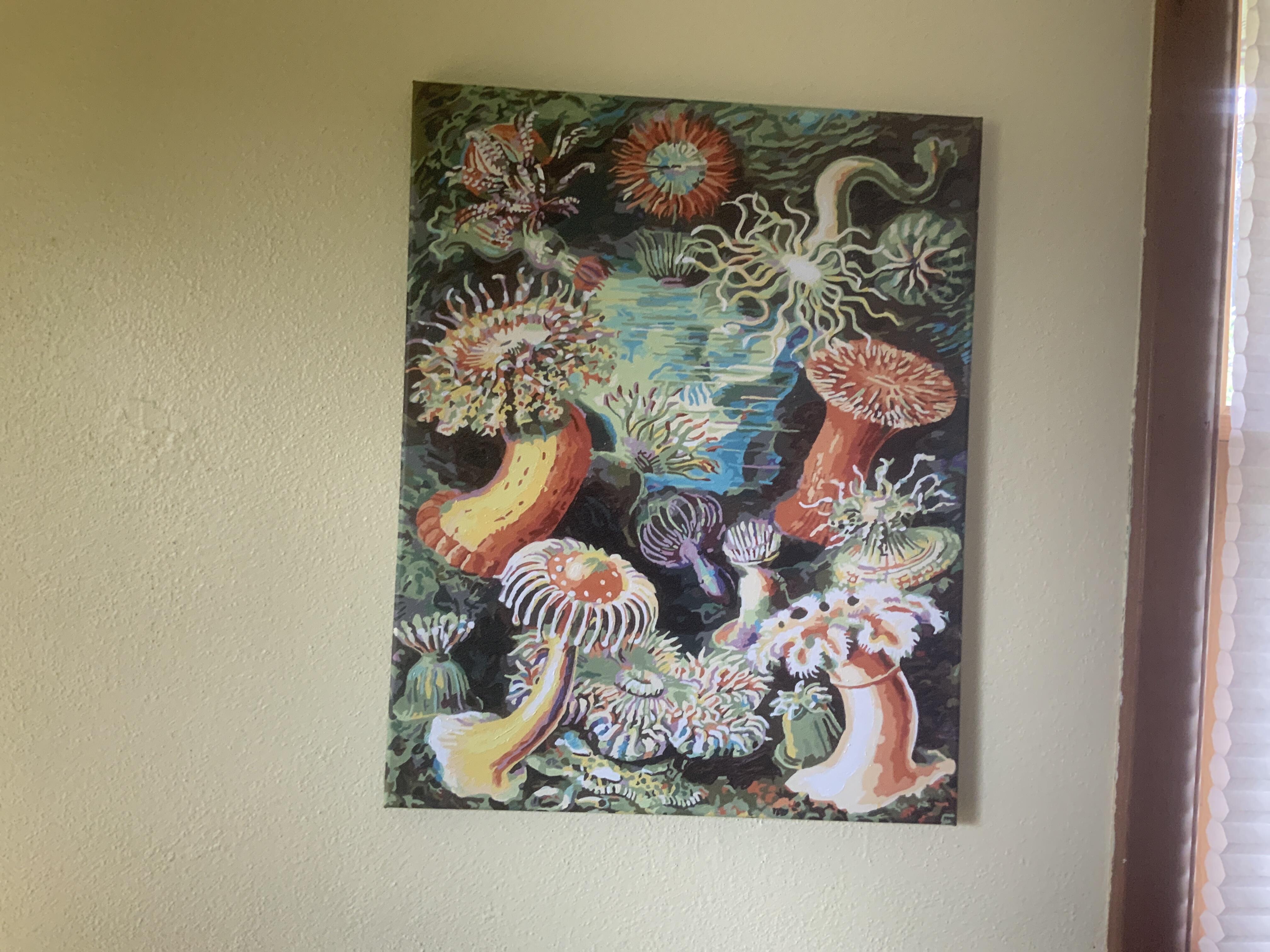 1723056955__image__original