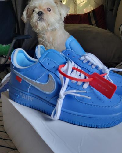 1710808019__img_20240313_110431_391__original