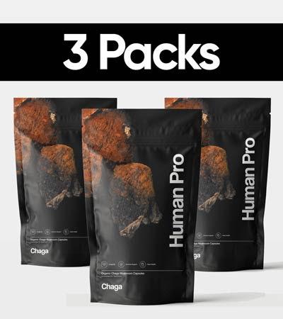 chaga