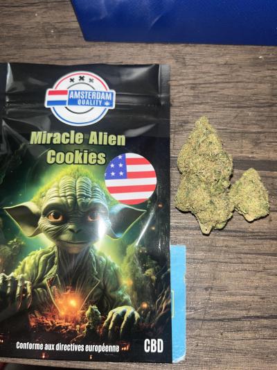 1731849233__image__original