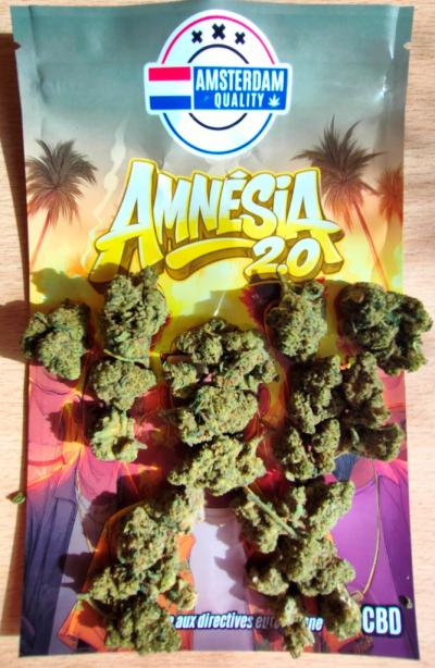 WEED AMNESIA 2.0 10GR.jpg
