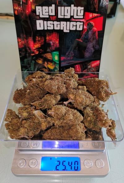 WEED RED LIGHT DISTRICT 25GR.jpg