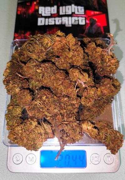 WEED RED LIGHT DISTRICT 20GR.jpg