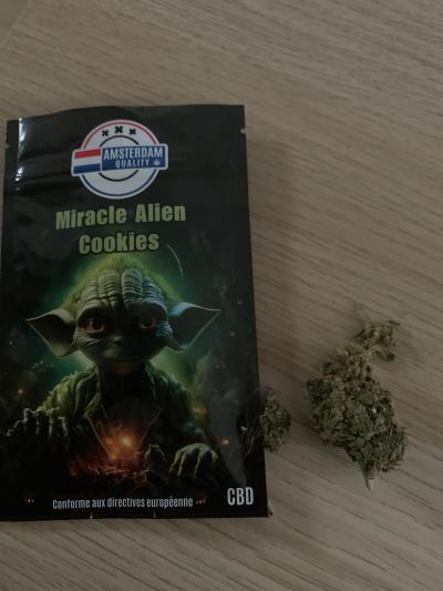 1753556026__image__original