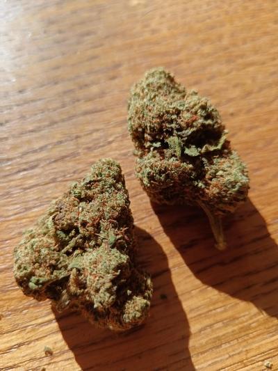 1738240815__1000001297__original