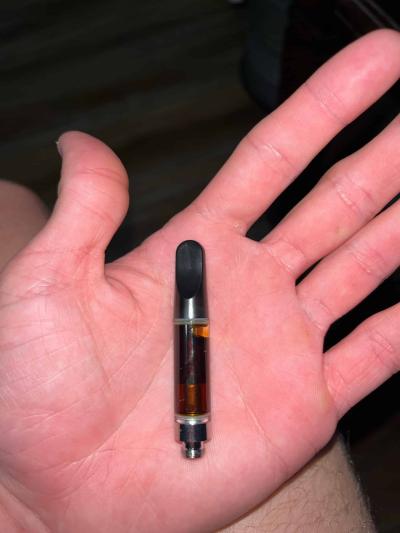 bzz04p6ihg2b1-scaled