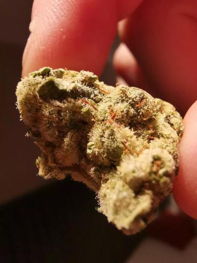 1730306116__0__LpKY3HZf__successful-first-solo-trip-v0-okniazn1qooc1__original