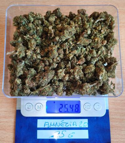 WEED AMNESIA 2.0 25GR.jpg