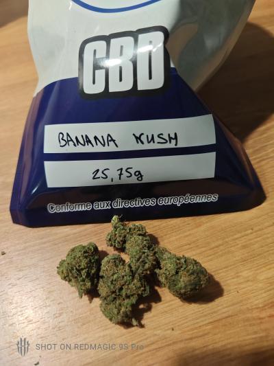 1738262220__1000003639__original